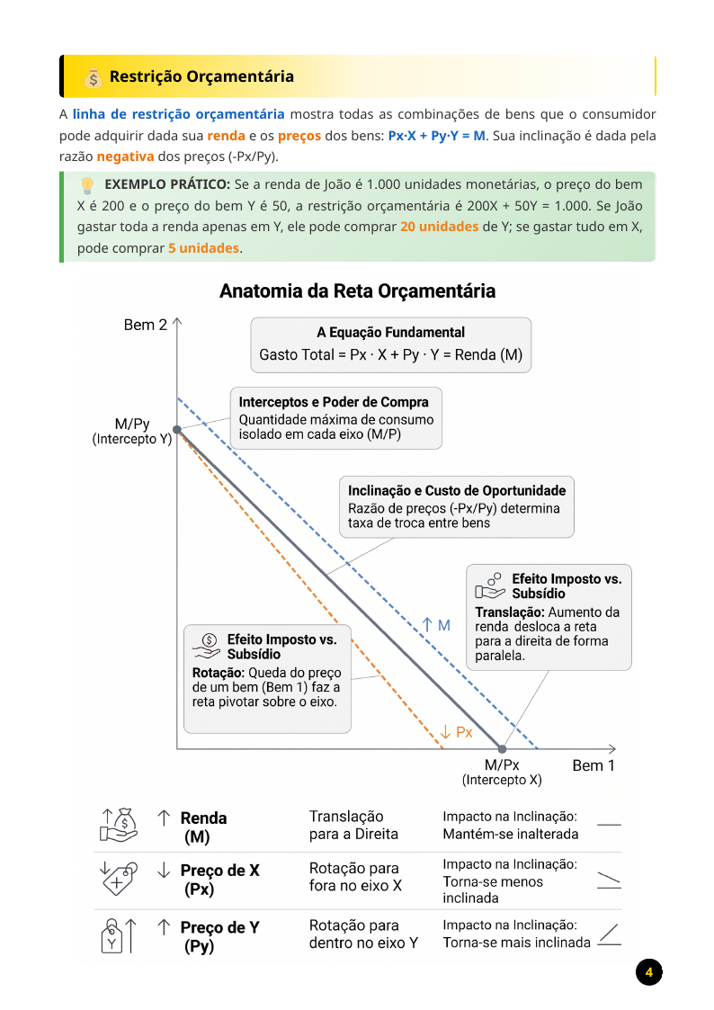 Resumo esquematizado sobre teoria do consumidor e teoria da firma